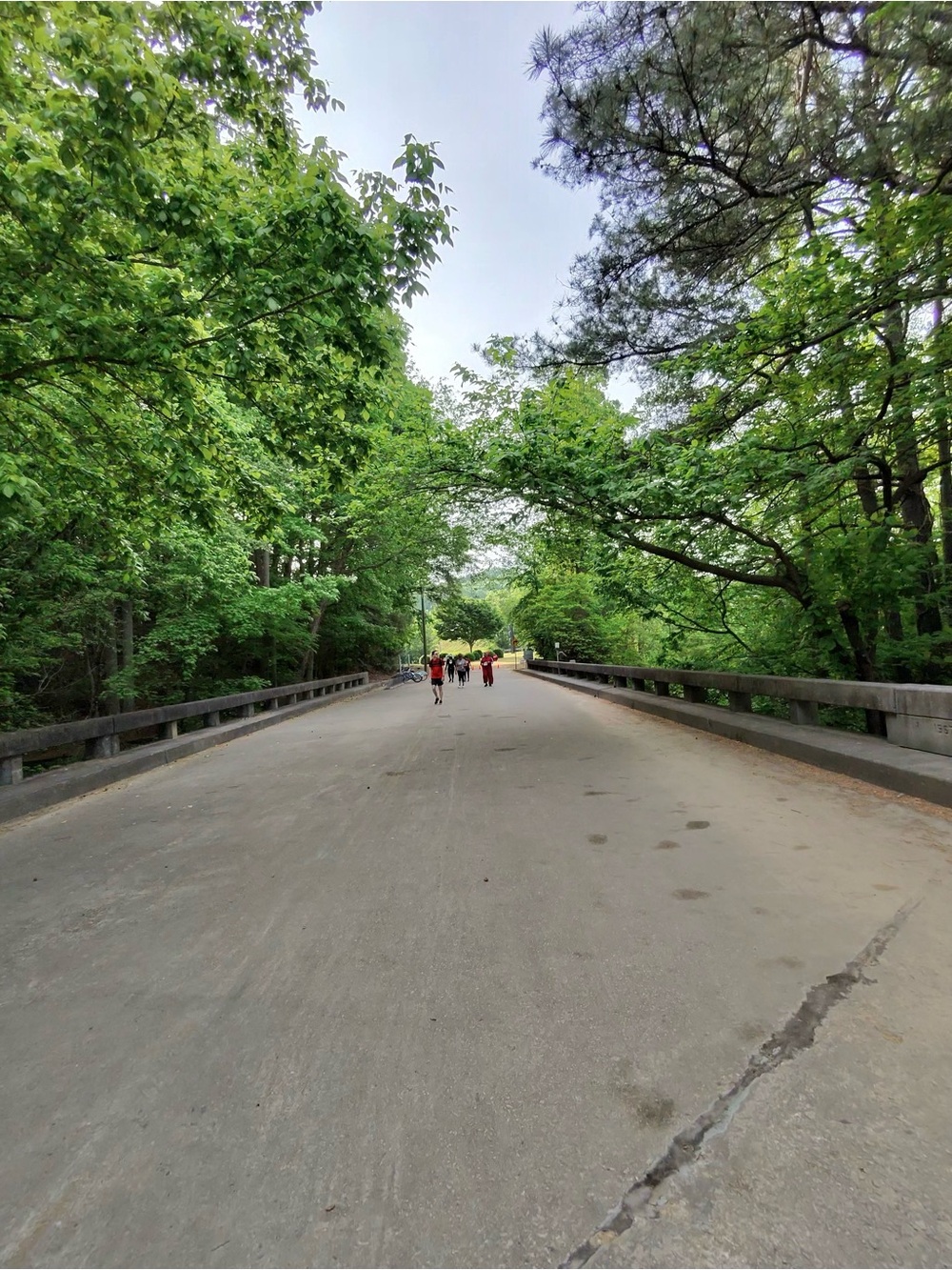 Meet your Posher, Dionne